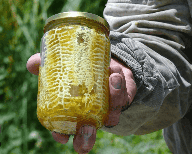 emprendimiento apícola San Marcos Sierras